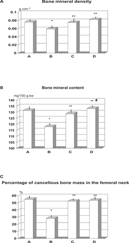 Figure 2 Effect of ovariectomy and supplementation of RCE and RCE + BP on bone mineral density A) bone mineral content/body wt ratio B) and cancellous bone mass C) (mean ± SD).Notes: *p < 0.01 vs sham-operated (group A); **p < 0.05 vs untreated ovariectomy rats (group B); #p < 0.05 vs group C (RCE-treated OVX rats).