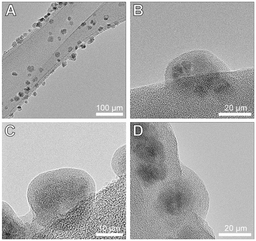 Figure 2 HRTEM images of the γ-Fe2O3 (A and B), γ-Fe2O3≈BSA (C) and γ-Fe2O3≈ BSA~Thrombin (D) nanoparticles placed on lacy grids. These images demonstrate the gelatin (A and B), gelatin≈BSA (C) and gelatin≈BSA~Thrombin (D) coatings on the crystalline γ-Fe2O3 core of the nanoparticles.Abbreviations: HRTEM, high-resolution transmission electron microscopy; BSA, bovine serum albumin.