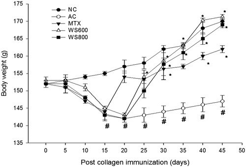 Figure 4. Body weight of rats from day 0 to the 45th day post collagen immunization. NC: normal control, AC: arthritic control, MTX: methotrexate (0.3 mg kg−1), WS 600; W. somnifera (600 mg kg−1), WS 800: W. somnifera (800 mg kg−1) treated rats with ± SEM, N = 6, *p < 0.05 versus AC, #p < 0.05 versus NC.