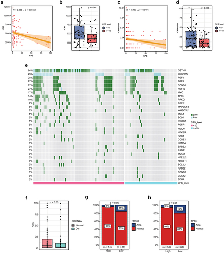 Figure 4. Copy number alterations (CNA) in the PD-L1 subgroups. (a) correlation between copy number instability (CNI) and CPS. (b) comparison of CNI in the high PD-L1 and low PD-L1 groups. (c) correlation between CNA and CPS. (d) comparison of CNA in the high PD-L1 and low PD-L1 groups. (e) copy number alteration landscape of the high PD-L1 and low PD-L1 groups. (f) expression of PD-L1 in patients with and without deletion of CDKN2A. (g) comparison of the frequency of PRKCI amplification in the high PD-L1 and low PD-L1 groups. (h) comparison of the frequency of TP63 amplification in the high PD-L1 and low PD-L1 groups.