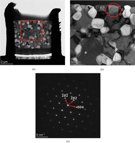 Figure 2. (a) Thin section taken from the surface region of Ce-TZP/Al2O3 specimen before hydrothermal treatment. (b) TEM micrograph of the area indicated with a square in (a). (c) Diffraction pattern of the ZrO2 grain near surface (circled).