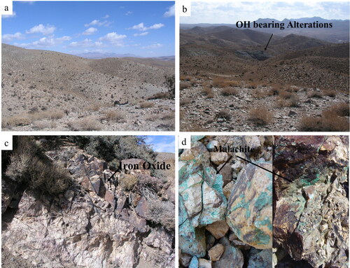 Figure 8. Images showing different parts of the study area; (a) an overview of the study area showing hydrothermal alteration zones, (b) a hydroxyl-bearing alteration zone, (c) iron oxides mixed with other altered rocks, and (d) outcrops of the malachite mineralization.