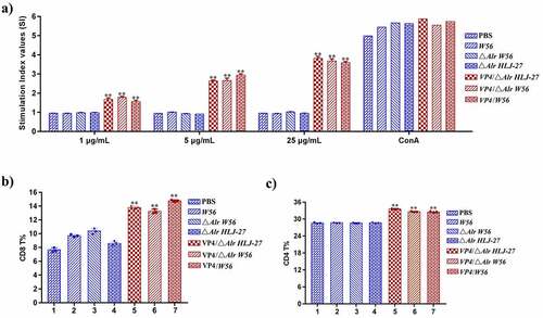 Figure 7. Determination of the level of lymphocyte proliferation (a) and specific T cell, CD8+% (b) and CD4+% (c) in splenic lymphocytes in immunized mice. The lymphocyte proliferation in immunized mice responding to PoRV VP4 antigen restimulation was determined by an MTT assay with ConA as a positive control. **P < 0.01 compared to the control groups: △Alr HLJ-27, △Alr W56, W56 and PBS.