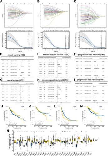 Figure 6 Identification of DDX56 as an independent prognosis factor. (A–C) least absolute shrinkage and selection operator model (LASSO) fitting based on OS (A), DFS (B), PFI (C). Each curve represents a gene. The profiles of coefficients were plotted versus log(λ). Vertical lines indicate the positions of all genes with coefficients greater than 0 determined by 10-fold cross-validation. λ was determined from 10-fold cross-validation. The x-axis represents log(λ); the y-axis represents binomial deviance. Optimal values calculated from minimum criteria and one standard error of the criteria are indicated by the dotted vertical lines. (D–I) Univariate (D–F) forest plot and multivariate (G–I) forest plot showing association between 6 candidate genes expression and OS (D and G), 8 candidate genes and DSS (E and H), 5 candidate genes and PFI (F and I) in HCC. (J–M) OS about DHX58, DSS about DDX43, PFI about DDX56, and DSS about DHX58 based on TCGA-LIHC (TCGA-LIHC, n = 374, Log rank test). (N) The mRNA expression of DDX56 between tumor and normal control tissues in pan-cancer was assessed from TCGA database. (TCGA-LIHC, n = 374; NS: not significant, *P < 0.05, ***P < 0.001).