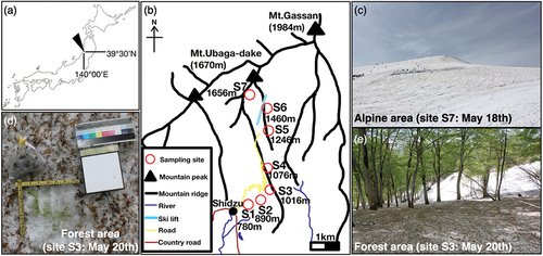 Figure 1. (a) Maps showing the location of the study area in Mount Gassan, Japan. (b) Locations of the sites where the colored snow samples were collected. Numbers in the map indicate the altitude above sea level. (c) Photograph of the alpine area at site S7 on 18 May. (d) Photograph of the sampling point in the forest area at the site S3 on 20 May showing the green-colored snow surrounded by vegetative litter from the forest canopy. (e) Photograph of the forest area at site S3 on 20 May.