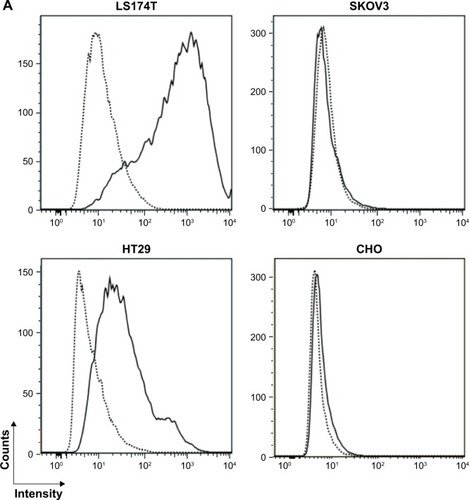 Figure 2 Anti-CEA-IL15 binds to CEA antigen.