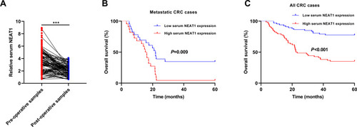 Figure 4 Increased serum NEAT1 was associated with poor overall survival of CRC. (A) Serum NEAT1 was significantly dropped in the post-operative samples. (B) For metastatic CRC cases, patients in the high serum NEAT1 suffered worse overall survival. (C) For all the CRC cases, patients with the higher serum NEAT1 level had shorter overall survival. ***P<0.001.