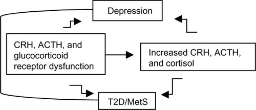 Figure 1 Hypothesized relationship between CRH, ACTH, and glucocorticoid receptors dysfunction, increased CRH, ACTH and cortisol levels, depression, T2D, and MetS.