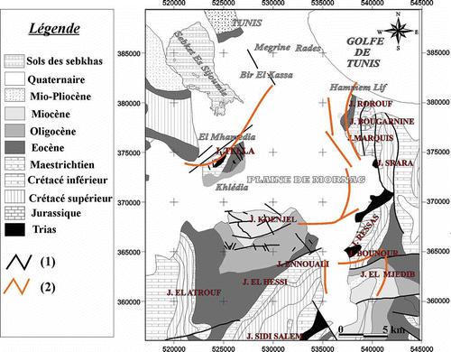 Fig. 6 Schéma structural de la zone d'étude. (1: accidents connus d'après la géologie de surface; 2: structures déduites de l'analyse des données gravimétriques.)