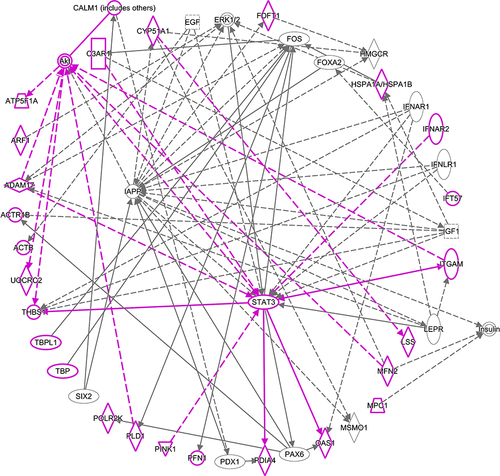 Figure 4 Solid lines show direct interactions. Dashed lines show indirect interactions. Arrows show activation. Blunted lines show inhibition. Vertical diamonds are enzymes. Horizontal diamonds are peptidases. Vertical ovals are transmembrane receptors. Horizontal ovals are transcription regulators. Circles are other. Double circles are complexes. Vertical rectangles are G-protein coupled receptors. Squares are cytokines. Trapezoids are transporters. Inverted triangles are kinases. Molecules outlined in purple are gene transcripts or their products that were located in the top 10 Kyoto Encyclopedia of Genes and Genomes (KEGG) pathways that contained overrepresented genes from differential expression analysis.