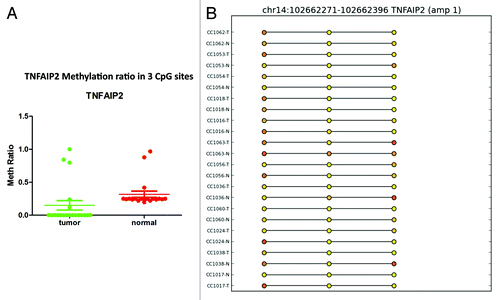 Figure 8. RRBS CpG methylation validation via targeted bisulfite sequencing for TNFAIP2 in colon cancer. (A) Validation of 3 CpG site in cancer tissues compared with their corresponding matched normal tissues (n = 24). CpG sites from the tumor group are plotted in red and CpG sites from the normal tissue group are shown in green. The Y-axis shows the average methylation and the X-axis shows the type of samples. This region of TNFAIP2 promoter as a whole was significantly (P < 0.0002) hypermethylated in the tumor group. (B) The CpG sites depicted as lollipop and the color indicates the level of methylation from higher to lower in yellow > orange > red order.