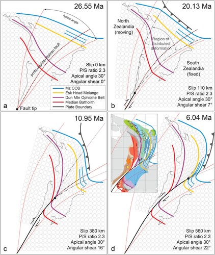 Figure 5. Miocene fault-propagation folding through the Aotearoa-New Zealand plate boundary zone. The plate boundary zone contains asymmetric map-view curves including recesses (Marlborough) and salient (Hikurangi margin) curves, and a fault cutting through the common limb at high cut off angles relative to the folded basement terranes (Alpine-Wairau fault) (Marshak Citation2004) (Figure 2). This type of deformation, commonly observed in cross-section through fold and thrust belts, can be described by a fault-propagation fold algorithm (trishear) (Hardy and Ford Citation1997). Folding develops progressively in a triangular zone (red dashed line) which opens away from a propagating fault tip (solid black line; A and B) that eventually cuts through the fold pair (C and D) (Hardy and Allmendinger Citation2011). Passive strain circles (grey circles) deforming in the triangular zone highlight the progressive contraction and elongation of the central deformed region (through the conservation of area) over time. In this model a propagation/slip (P/S) ratio of 2.3 replicates the general shape and progressive displacement of terrane boundary strain markers in map-view. Inset shows the relationship between the fault-propagation fold model and the crustal block model at 6.04 Ma.