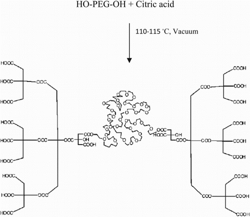 Scheme 2. A schematic representation of PCA–PEG–PCA copolymers.