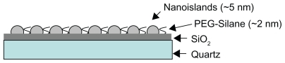 Figure 4 Schematic representation of a quartz functionalized with an antibiofouling PEG-silane coating plus 5 nm size Ni nanoislands.