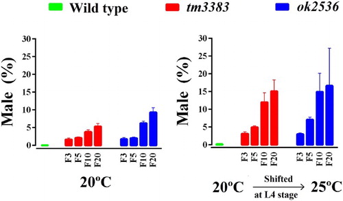 Figure 5. The male ratio of vig-1 mutants increases over generations. Worms were cultured at 20°C for various generations, and single L4 hermaphrodites at the indicated generation were allowed to lay eggs at either 20°C (left panel) or 25°C (right panel). The male (%) was determined as described in the Materials and methods. Error bars indicate SEM (n = 10).