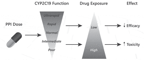 Figure 1. Relationship between PPI dose and toxicity.