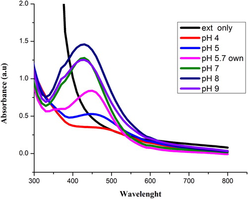 Figure 3. UV–visible spectra of Sq-AgNPs synthesized at different pH.