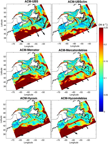 Fig. 5 Annual mean surface velocity (m s−1) mapped in 2004 for each simulation with varying ocean nesting (ACM-UBS, ACM-UBSclim, ACM-MERCATOR, ACM-MERCATORdebias, ACM-HYCOM, and ACM-HYCOMdebias). Vector arrows (black) are drawn at identical locations for comparison.