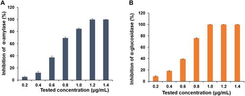 Figure 6 In vitro antidiabetic potentials of SISE AgNPs on (A) α-amylase and (B) α-glucosidase.