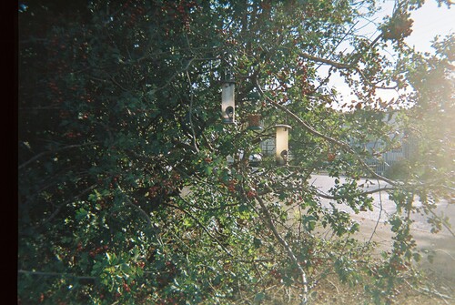 Figure 8: Bird feeders that are found within the business park. Photographer: Libby, office administrator.