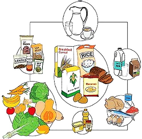 Figure 1: The South African Food Guide.Citation13