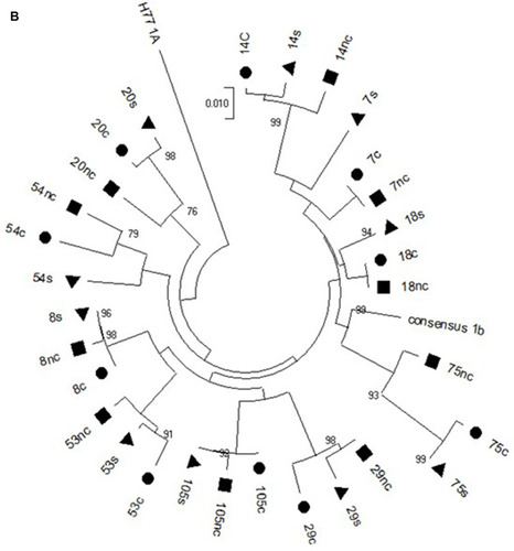 Figure 1 Continued.