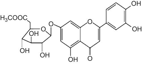 Figure 1.  Structure of luteolin-7-O-β-D-glucuronide methyl ester from Lycopi Herba.