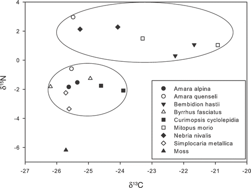 Figure 5 δ15N and δ13C values of various pioneer organisms. Except for the moss sample, there were two replicates of each species. The lower circle indicates herbivores, and the upper one predators.