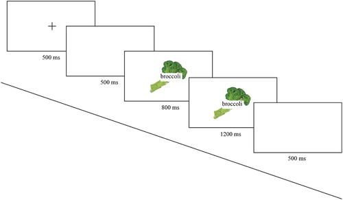 Figure 2. Example of the sequence of events during a trial in a picture + word aloud condition.