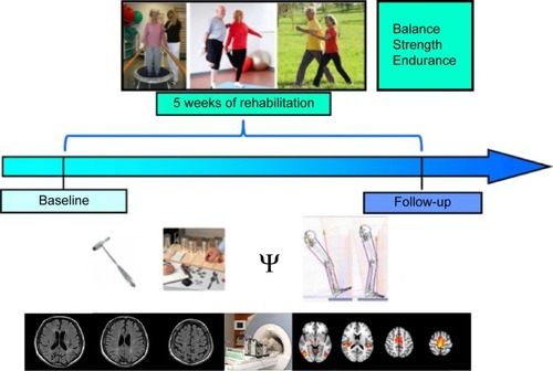 Figure 1 Design of the intervention study in chronic stroke patients undergoing 5 weeks of ambulatory training focusing on gait and coordination.