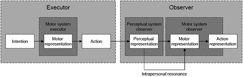 Figure 1. The causal path from action plan in the executor to action representation in the observer and the location of intrapersonal resonance.