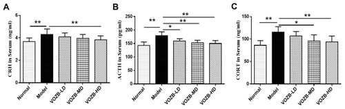 Figure 5 The VOZB regulated the levels of CRH, ACTH and CORT in serum. Levels of CRH (A), ACTH (B) and CORT (C) were respectively determined by ELISA. The levels of hormones in serum were in accordance with normal distribution and analyzed by one‑way ANOVA followed by Fisher’s LSD test. Data were expressed as mean ± SD (n = 10), *p<0.05 and **p<0.01 vs the model group.