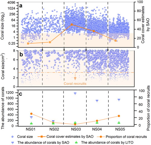 Figure 7. Comparative analysis of the LITO and SAO methods. (a) The blue pellets represent each coral colony extracted. To highlight the distribution of coral colonies’ size at each site, the data were transformed using the log2. (b) A larger view of the orange section of Figure 7(a) makes the distribution of coral recruits clearer. (c) The abundance of corals involved in the estimate of coral cover by the LITO and SAO methods and proportions of coral recruits.