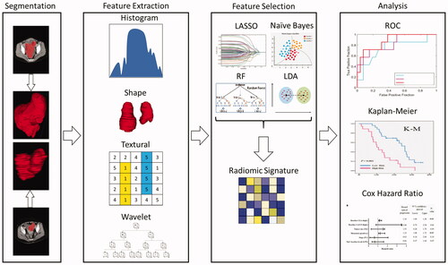 Figure 3. This flowchart shows the image data processing and radiomic analysis used to parse and validate the radiomic features. LASSO: least absolute shrinkage and selection operator; LDA: linear discriminant analysis; RF: random forest; ROC: receiver operating characteristic.