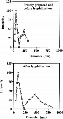 Figure 4. Quasielastic laser light scattering by PAA nanoparticles in phosphate buffer (50 mM, pH 7.0). Particle sizes are shown before and after lyophilization.