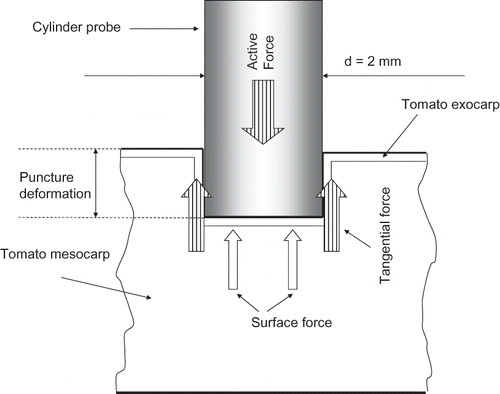 Figure 11 Active and reactive force in puncture experiment.