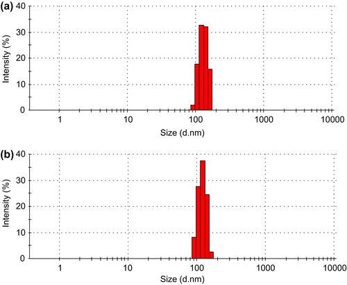 Figure 5. (a) The size distribution of CS-SA (1:0.3) micelles and (b) GA-CS-SA micelles.