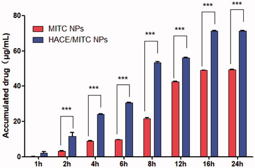 Figure 5. Cumulative penetration amount of MITC in liposomes varies with the penetration time (x±SD, n = 3). Comparison of MITC NPs and HACE MITC/NPs, ***p < .005.