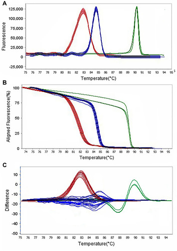 Figure 5 Representative high resolution melting graphs corresponding to one high resolution melting analysis of MDR and XDR strains of P. aeruginosa (n = 39). Curves of tested samples identified as blaIMP carrier are shown in red, blaKPC carrier are shown in blue, and mprA carrier are shown in green. β-lactamases genes were amplified successfully using the EvaGreen Dye in the ABI Step-OnePlus machine by one-sept protocol. (A) Melting curves; (B) Normalized plot; and (C) Difference plot. Positive control: P. aeruginosa NCTC 13,359.