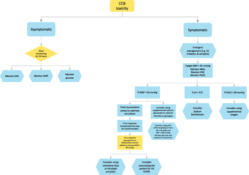 Figure 1 Algorithmic structure for managing patients with calcium channel blocker toxicity.