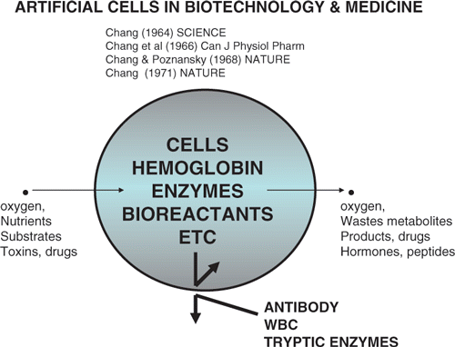 Figure 1. Basic principle of artificial cells.