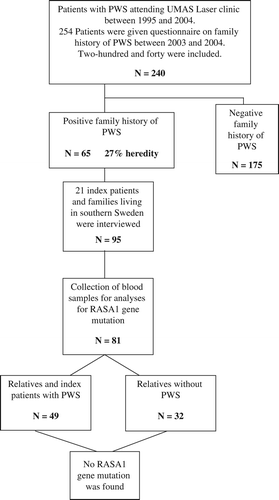 Figure 1. Description of the positive family group.