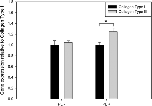 Figure 4.  The mRNA expression of Collagen Type I and Collagen Type III in Hs68 cells cultured in the absence or presence of PL on TCPS after 1 day of incubation. The results were presented as the ratio of gene expression of Collagen Type III relative to Collagen Type I. *Significant difference as determined by one-way ANOVA followed by the Duncan’s test (p < 0.05).