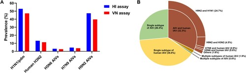 Figure 1. Seroprevalence of influenza viruses in farmed mink in northern China. (A) Seroprevalence of influenza viruses in mink by combined HI and VN assays. A total of 2455 serum samples were assayed by HI (titres of ≥40 were considered positive). All HI positive samples were confirmed by VN assays (titres of ≥10 were considered positive). (B) Breakdown of positive samples by virus subtypes. Details of the number of positive samples are shown in Table S1. Note: HI: haemagglutination inhibition; VN: virus neutralization.