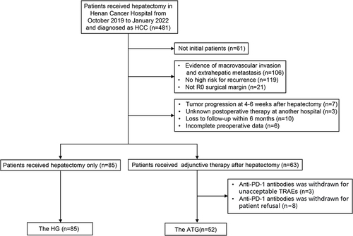 Figure 1 Flowchart of patient enrollment. HCC, hepatocellular carcinoma; R0 surgical margin, no residual cancer cells by eyes or microscope; TRAEs, treatment-related adverse events; the HG, the hepatectomy group; the ATG, adjuvant therapy group.