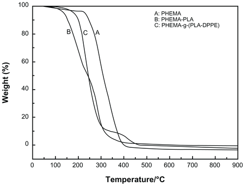Figure S2 Thermogravimetric analysis profiles of (A) PHEMA, (B) PHEMA-PLA, and (C) PHEMA-g-(PLA-DPPE) copolymers.Abbreviations: PHEMA, poly (2-hydroxyethyl methacrylate; PLA, poly (lactide)-1; DPPE, 2-dipalmitoyl-sn-glycero-3-phosphoethanolamine.