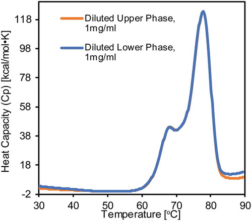 Figure 1. DSC thermograms of Mab4 from upper phase (orange) and lower phase (blue). Mab4 samples from the low- and high-density phases were diluted from 28 mg/mL and 150 mg/mL to 1 mg/mL, respectively. Protein denaturation was induced by ramping temperature to 90°C at 1°C/min rate.