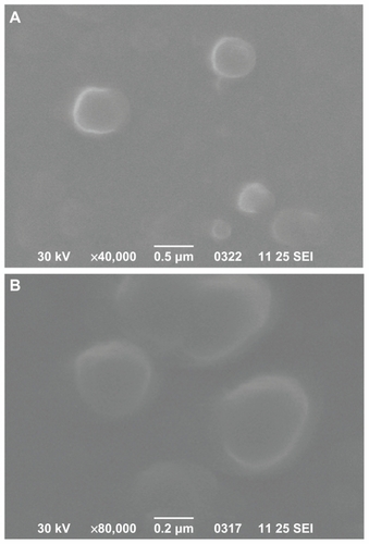 Figure 7 Scanning electron microscope photos from desferrioxamine-loaded poly(ɛ-caprolactone) (A) and poly(propylene adipate)/poly(ɛ-caprolactone) 65/35 weight/weight (B) nanoparticles.Abbreviation: SEI, secondary electron imaging.
