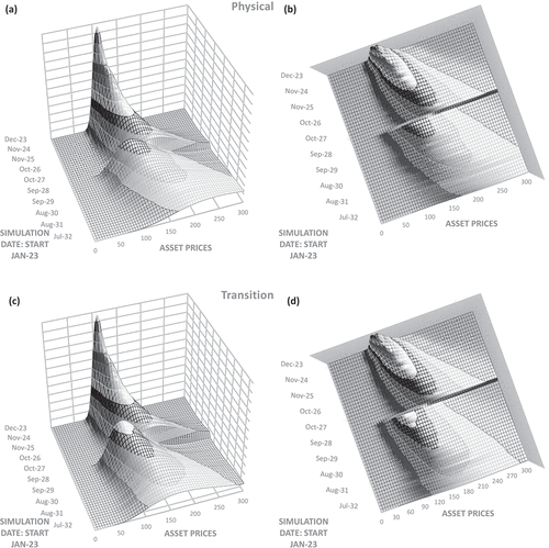 Figure 5. Simulated lognormal distributions (side and plan view) of share prices for a 40% share price shock occurring halfway through a ten-year simulation cycle, due to (a) a physical climate risk event and (b) a transition climate risk event.