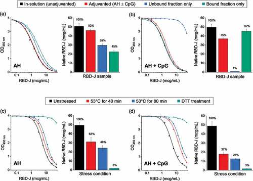 Figure 3. Competitive ELISA method development to measure the ACE2 binding of RBD-J in the presence and absence of adjuvants. Representative dose–response curves along with measured native RBD-J concentration in (a) AH-adjuvanted and (b) AH+CpG-adjuvanted formulations. Adjuvanted drug product, along with unbound and bound fractions of the drug product (generated by centrifugation of the sample) were compared to unadjuvanted in-solution RBD-J reference. Representative dose response curves along with measured native RBD-J concentration from forced degradation studies on (c) AH and (d) AH+CpG-adjuvanted formulation. Partially and completely denatured RBD-J samples (heat and DTT treatment, respectively) were adjuvanted and then compared to the corresponding unstressed adjuvanted RBD-J reference. Bars represent mean and error bars represent range of values with n = 2 (2 independent runs). For each test condition, the percentage of native RBD-J relative to reference is indicated above the bars.